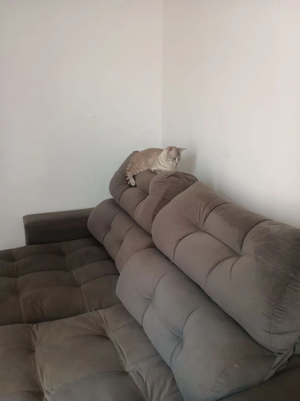 Sofá  - Foto 3