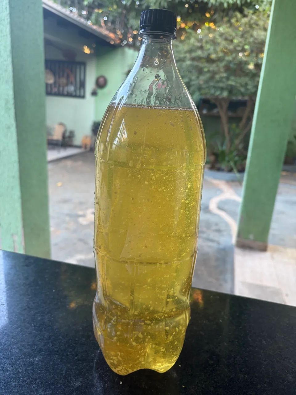 Banha Caipira - Foto 2