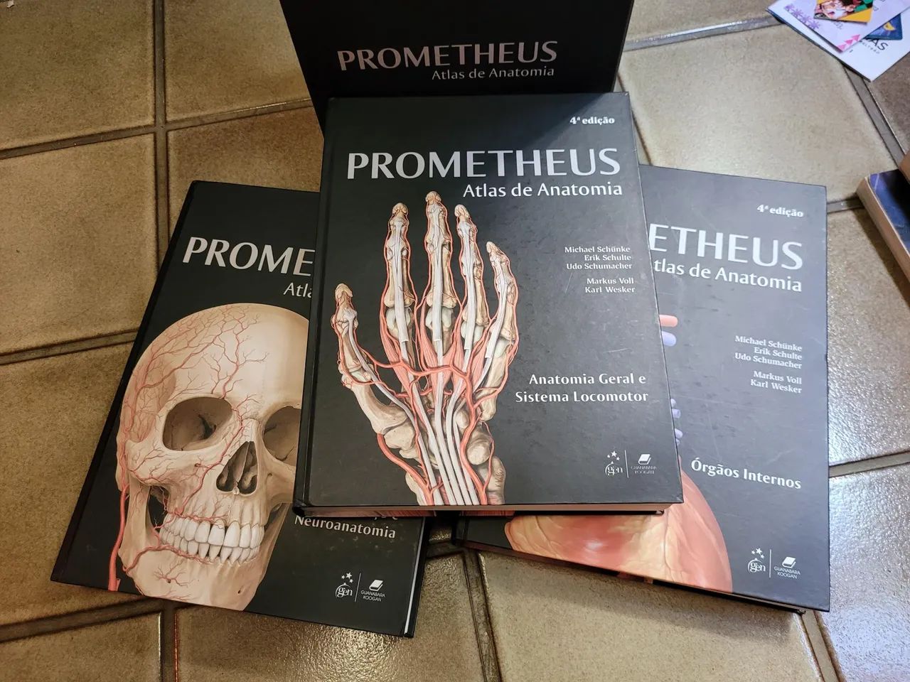 Prometheus Atlas de Anatomia 4ª ed. - Coleção Completa - Livros e