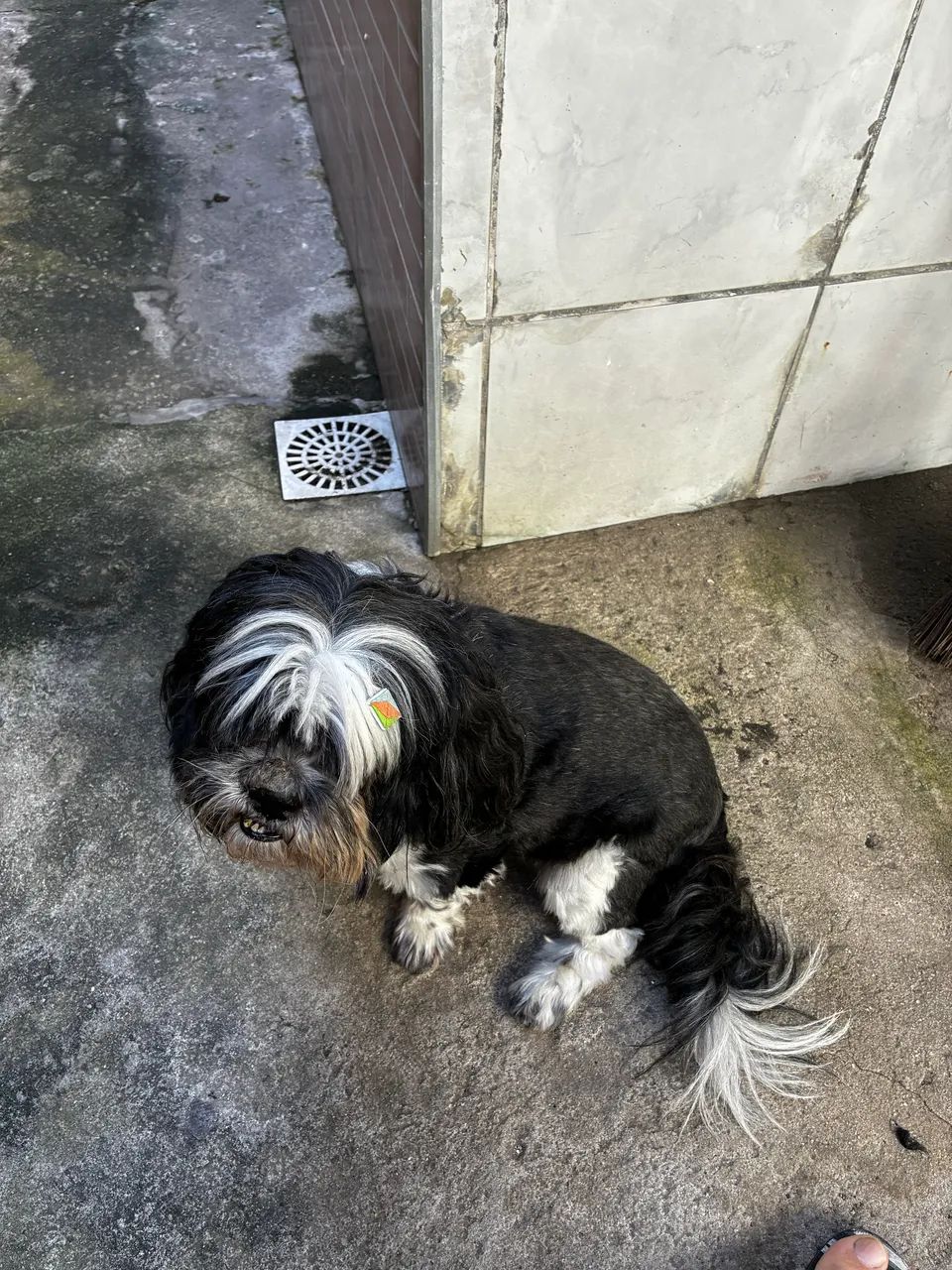 DOAÇÃO  - Foto 2