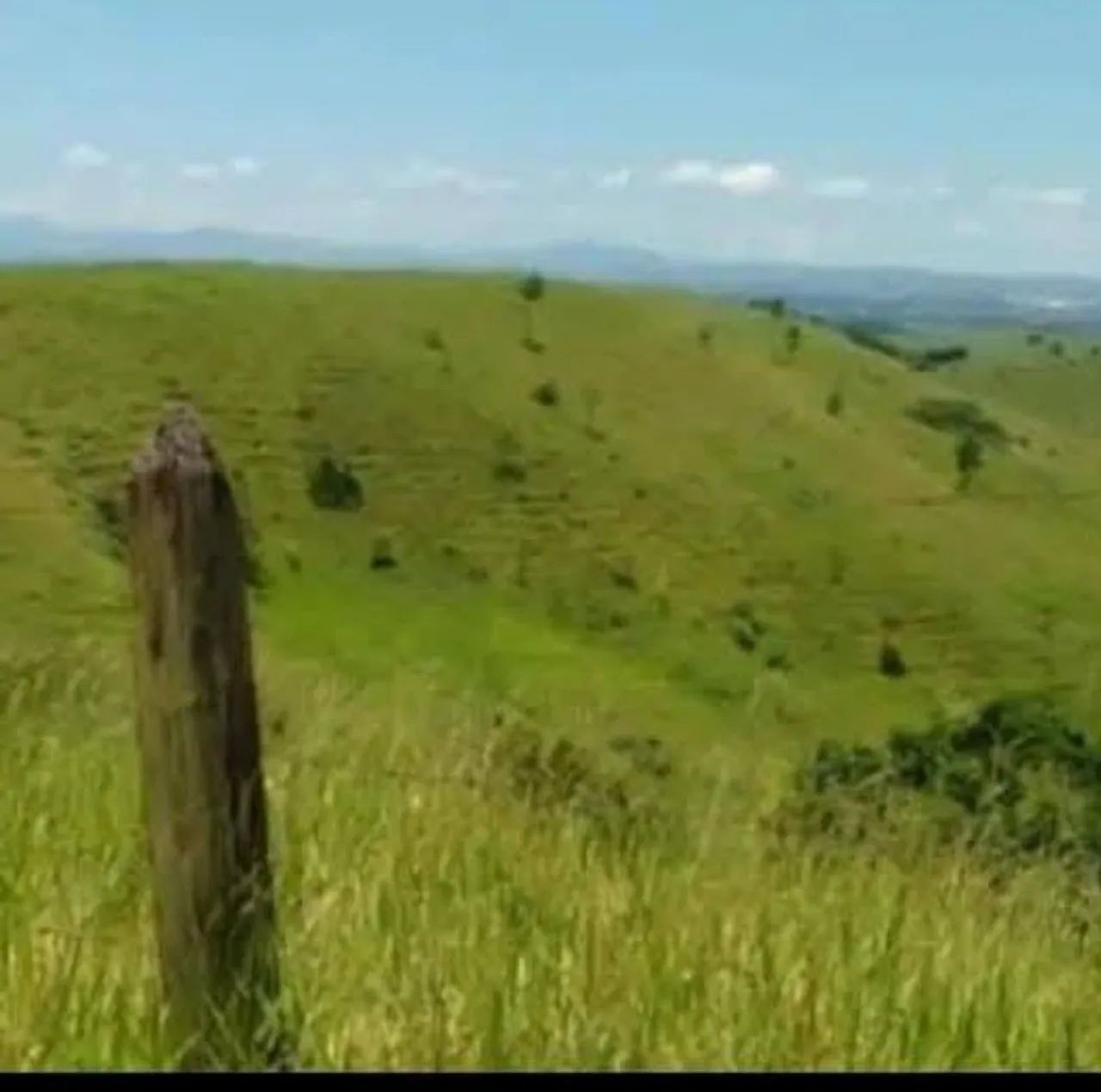 Fazenda em Taubaté 