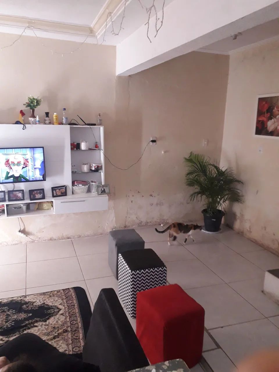 Venda de casa  - Foto 4