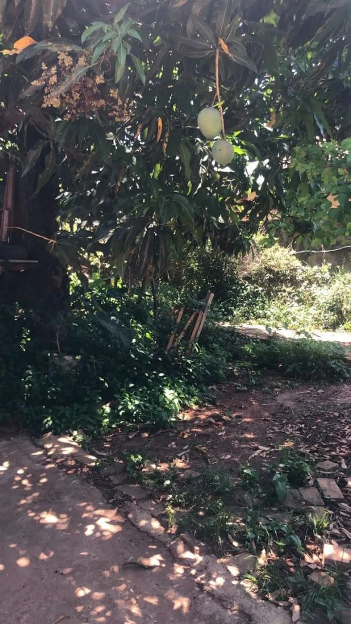 VENDO CASA DOIS ANDARES - Foto 4