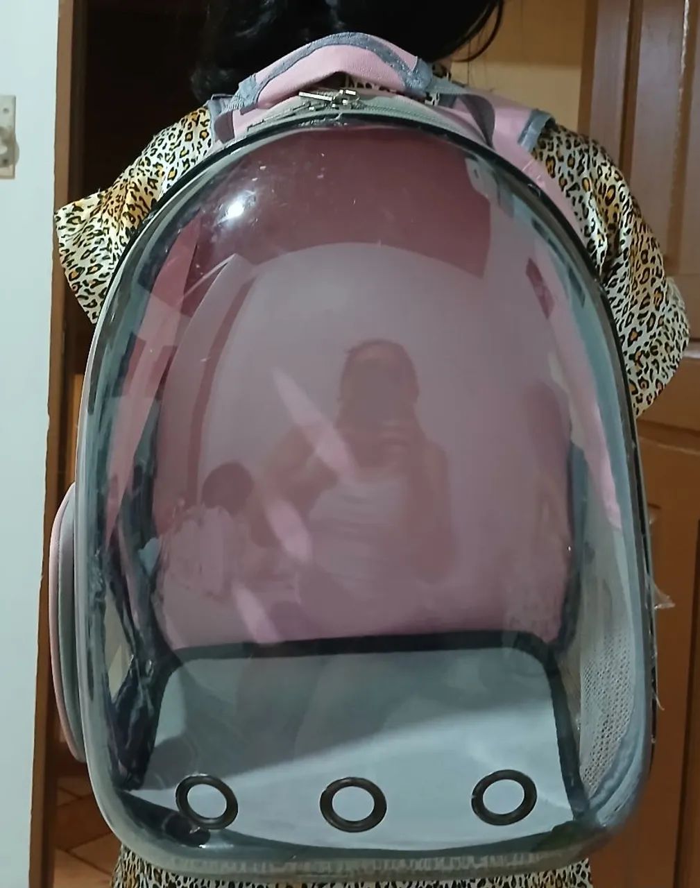 Mochila pra gato 
