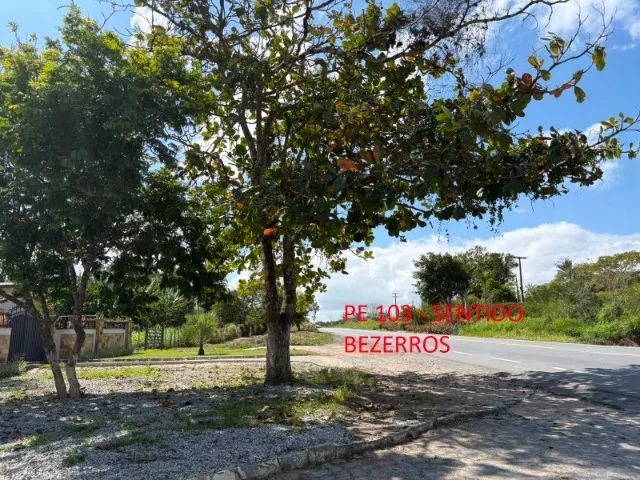 Terreno de 1400m² para Chácara em Sairé-PE - Foto 5