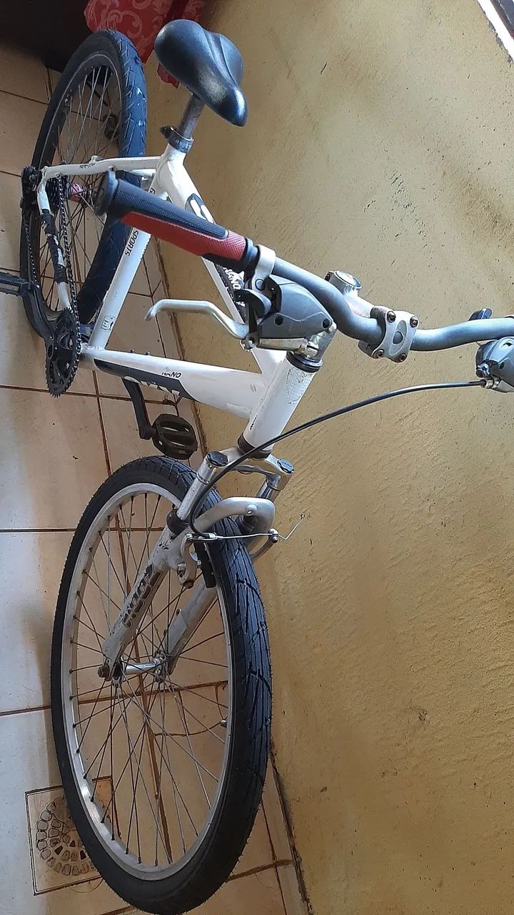 Aro26 adulto  - Foto 2