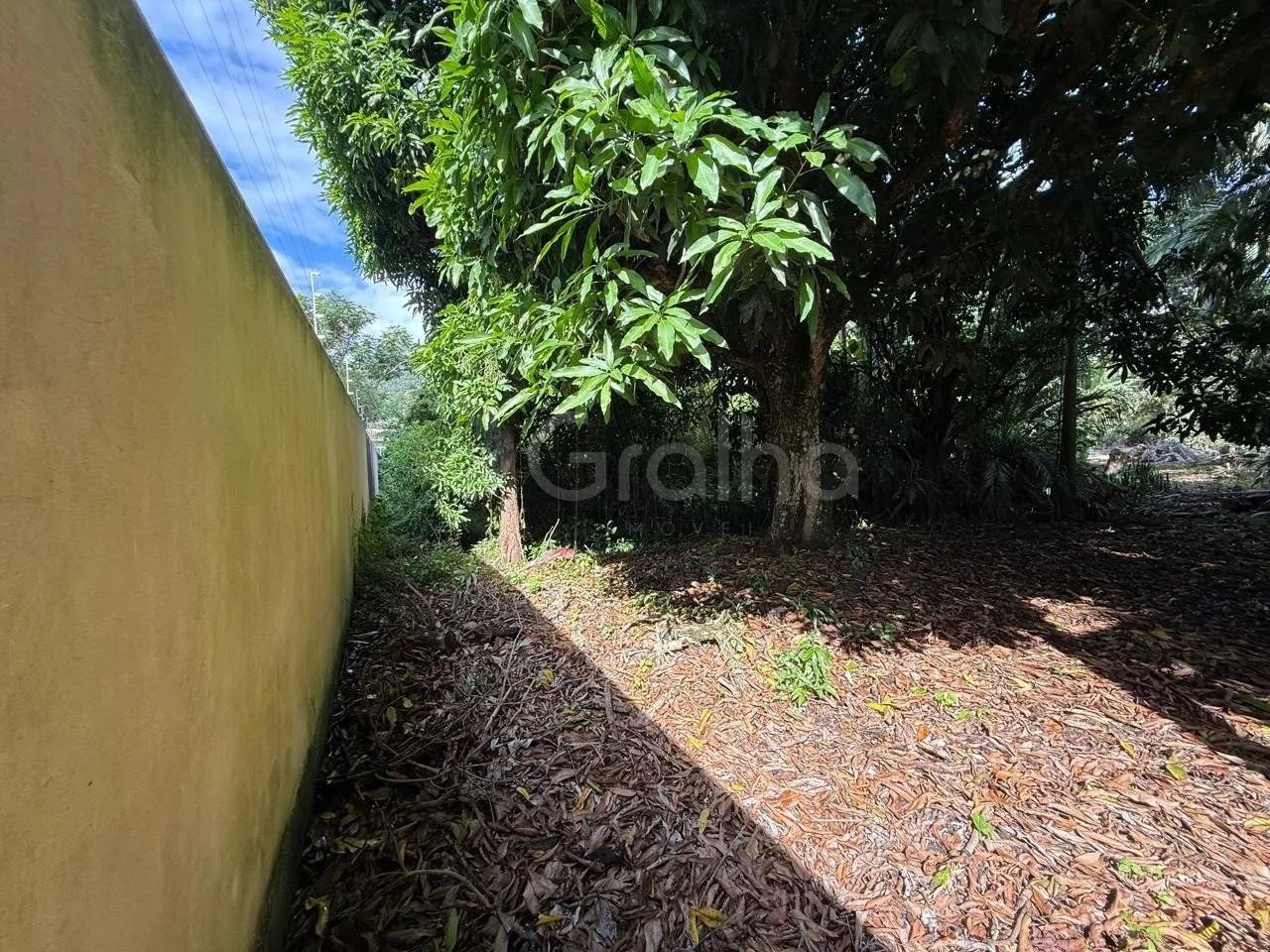 Terreno de 12.804,83m² no Monte Verde - Foto 2