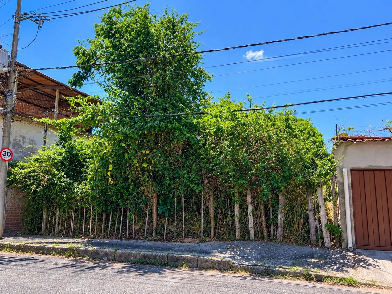 Lote   - Foto 2