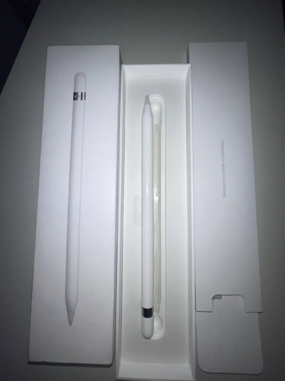 Apple Pincel 1 original completo