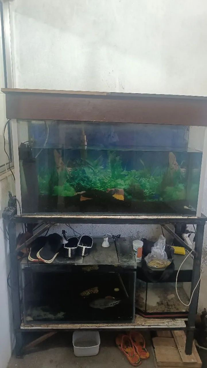 Vendo 
