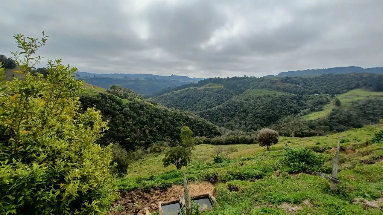 Fazenda/Sítio/Chácara para venda com 150000 metros quadrados com 2 quartos - Foto 4