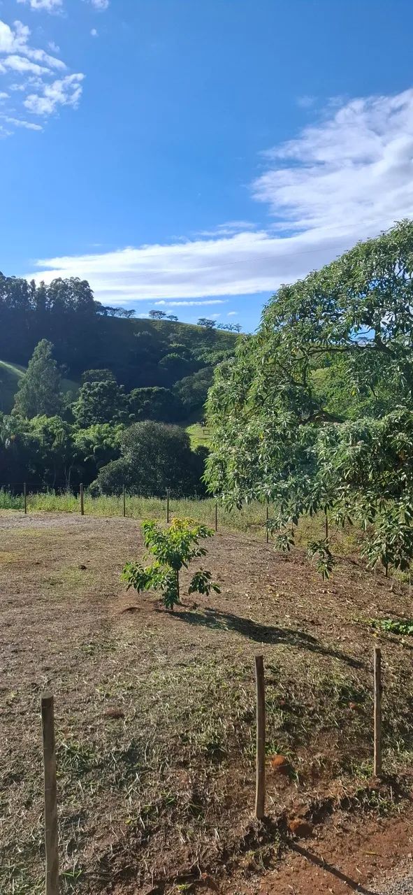 Terreno 1000m2 - Atrás da pedra  - Foto 3