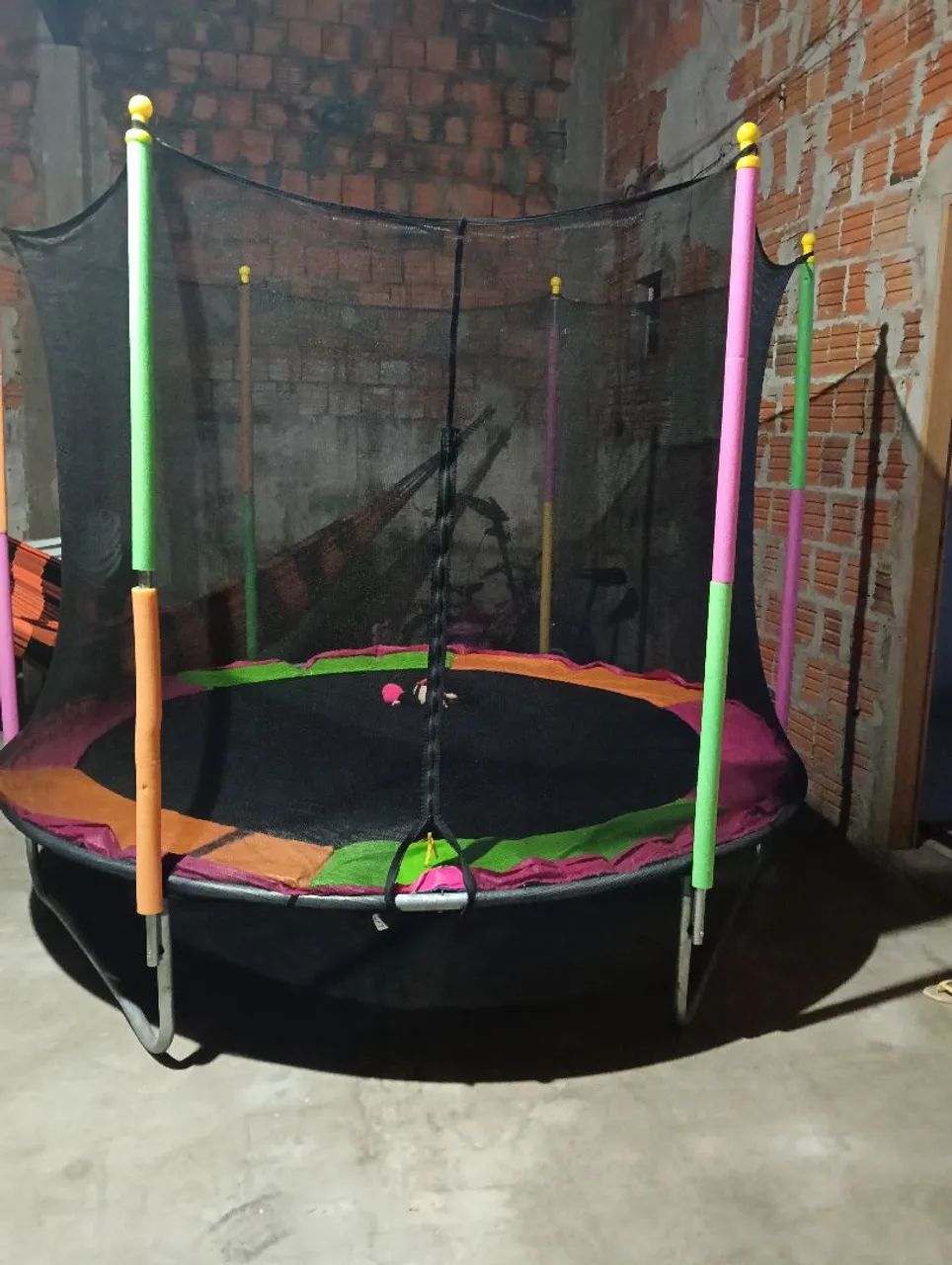 Vendo pula pula 
