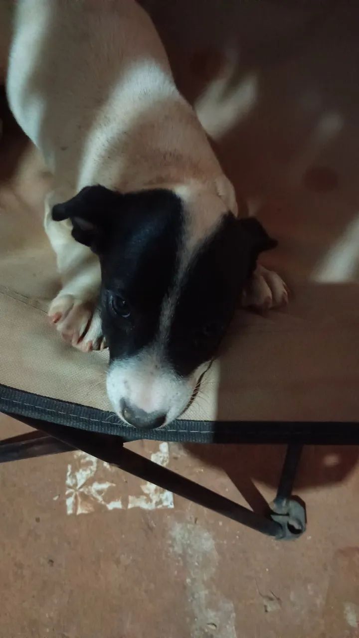 Doação 