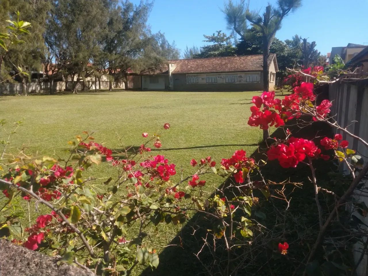 Área na Avenida liberdade Grussaí