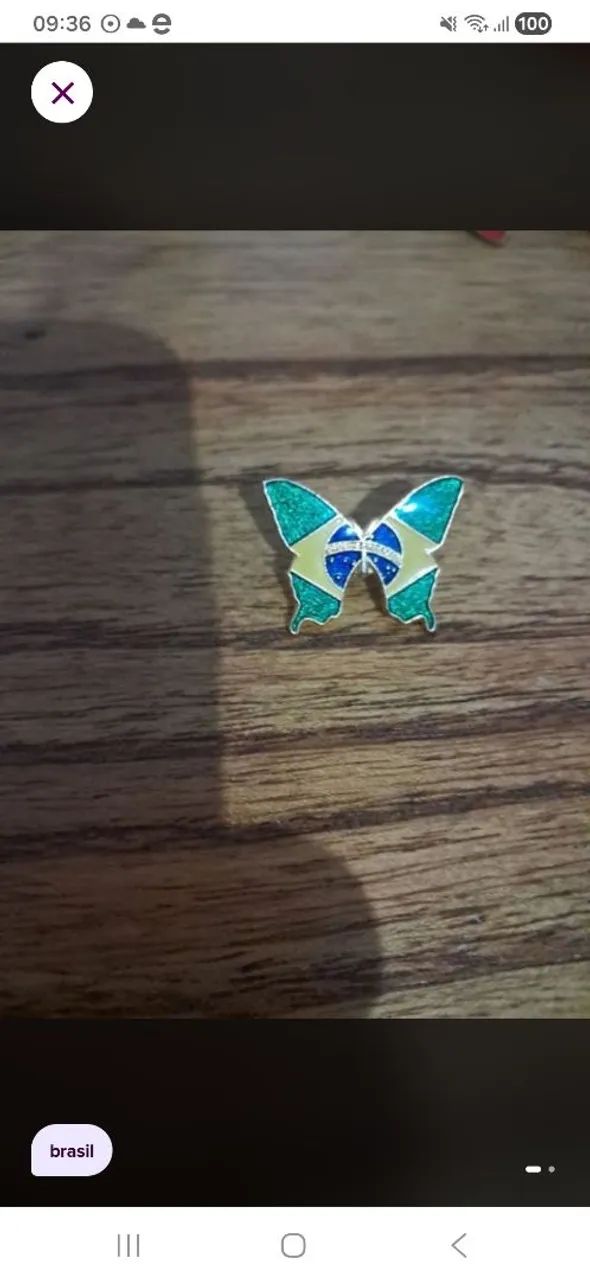 Pin Borboleta since 70