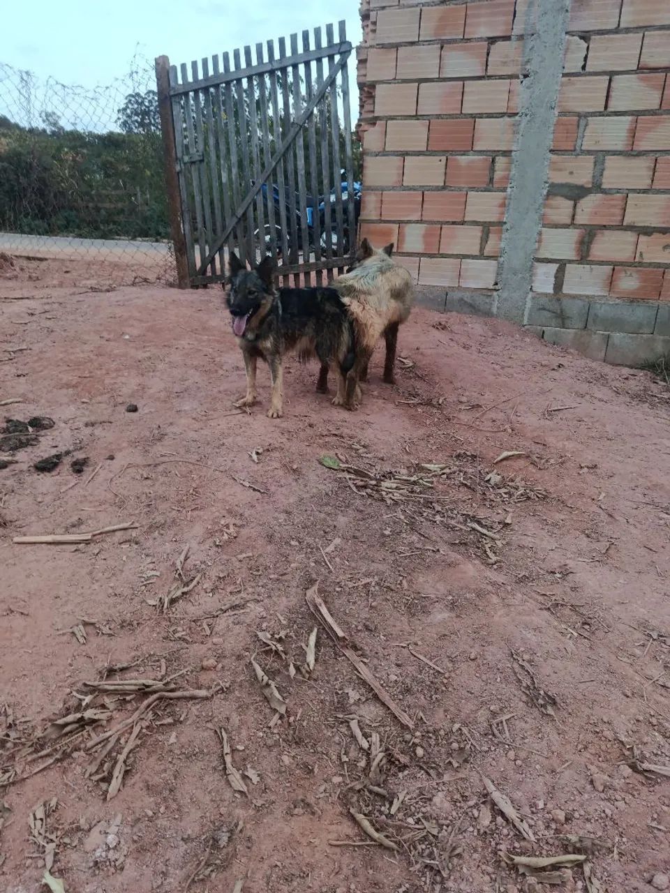 Vende-se  - Foto 4