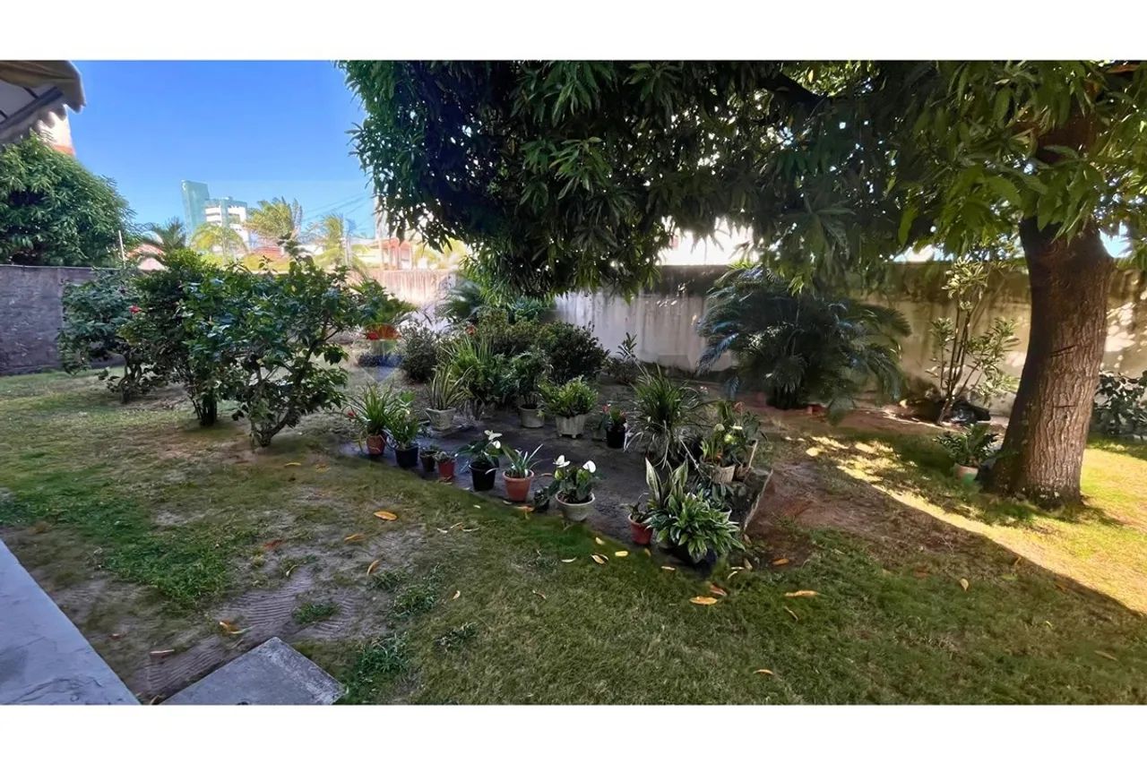 APARTAMENTO ENCANTADOR - Foto 4