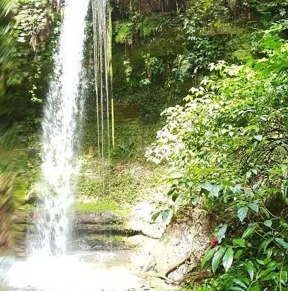 Foto - Chapada dos Guimarães - 