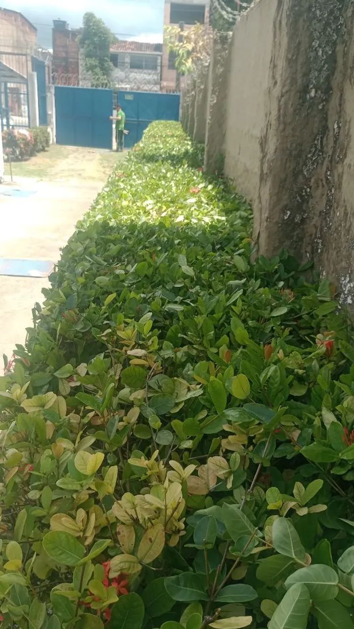 Fj jardim  - Foto 4