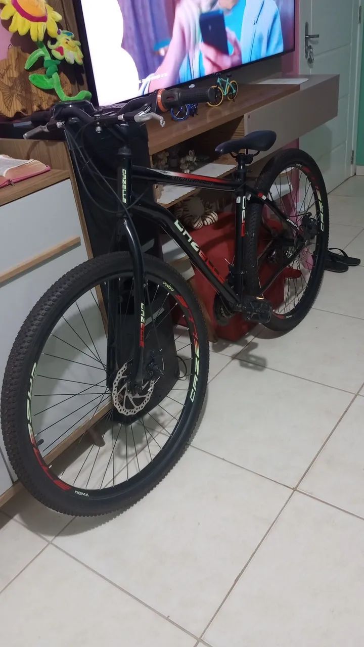 Bicicleta 