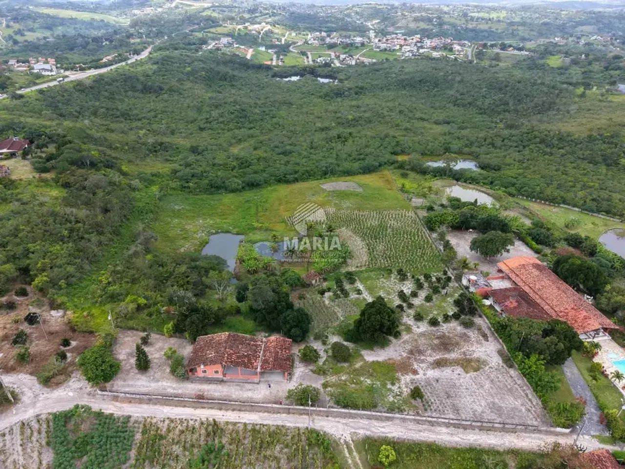 Sítio com 02 hectares à venda em Chã Grande/PE! - Foto 4