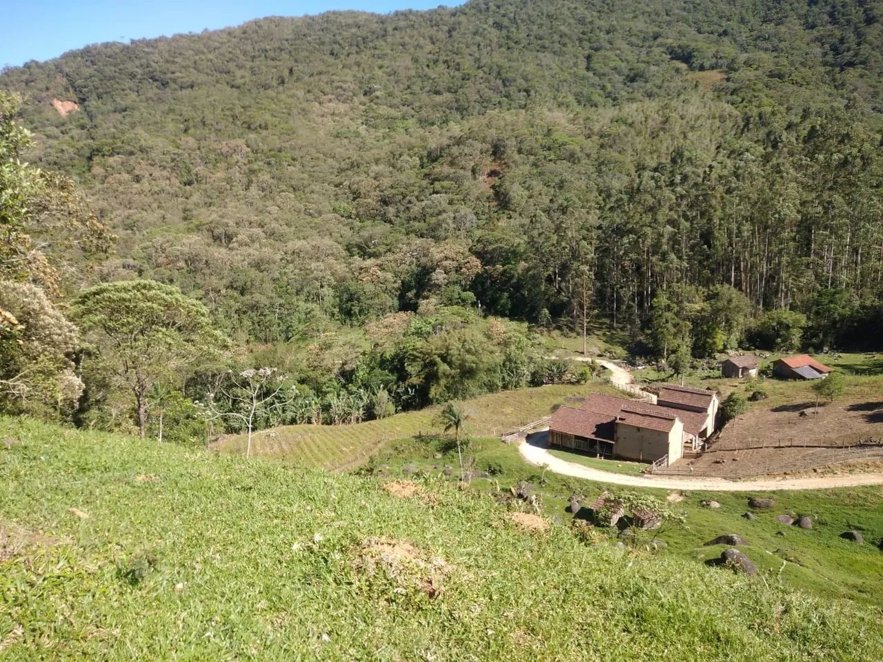 Fazenda a venda MAJOR GERCINO  - Foto 3