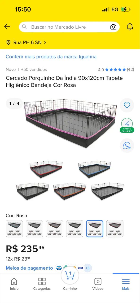 Cercado para porquinho da índia 