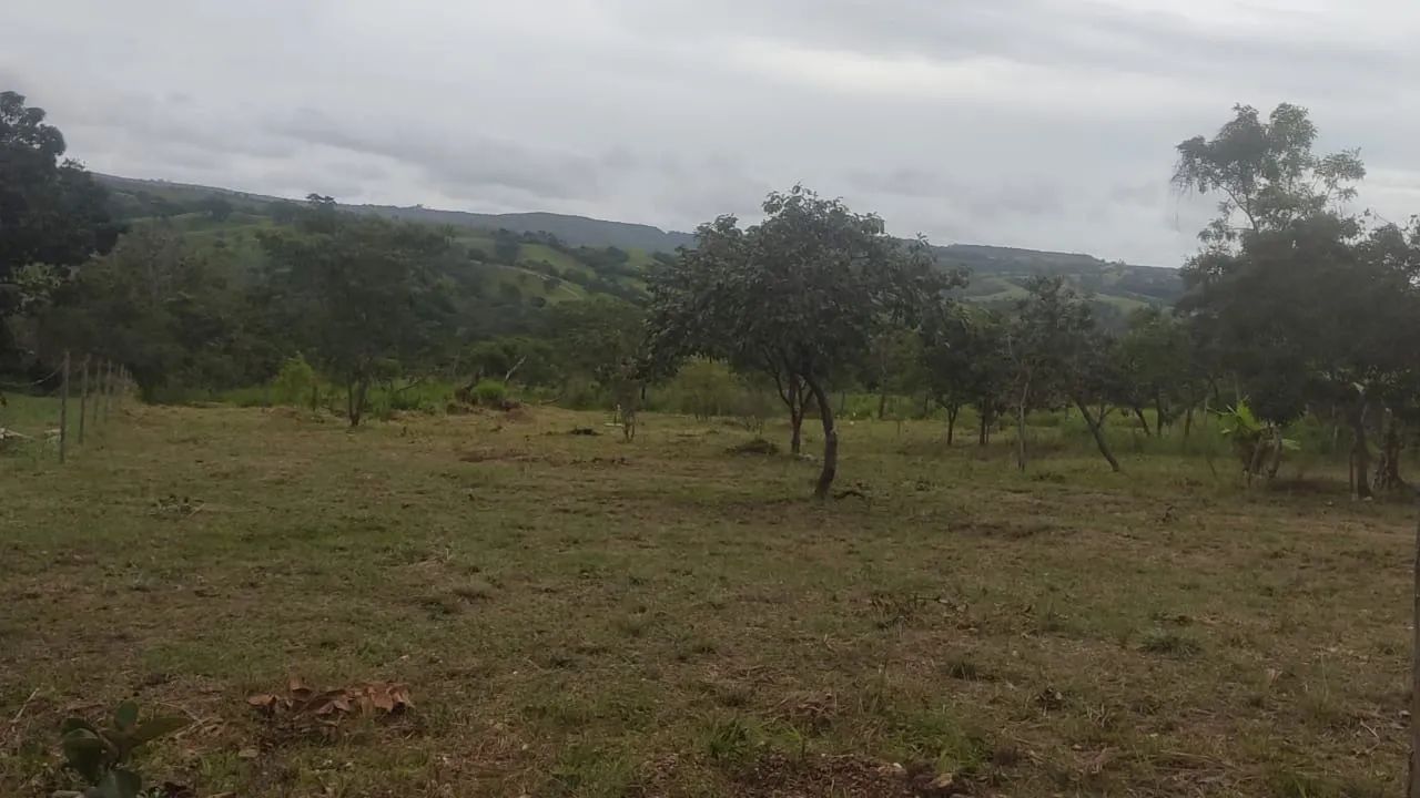  Mini chácara  - Foto 3