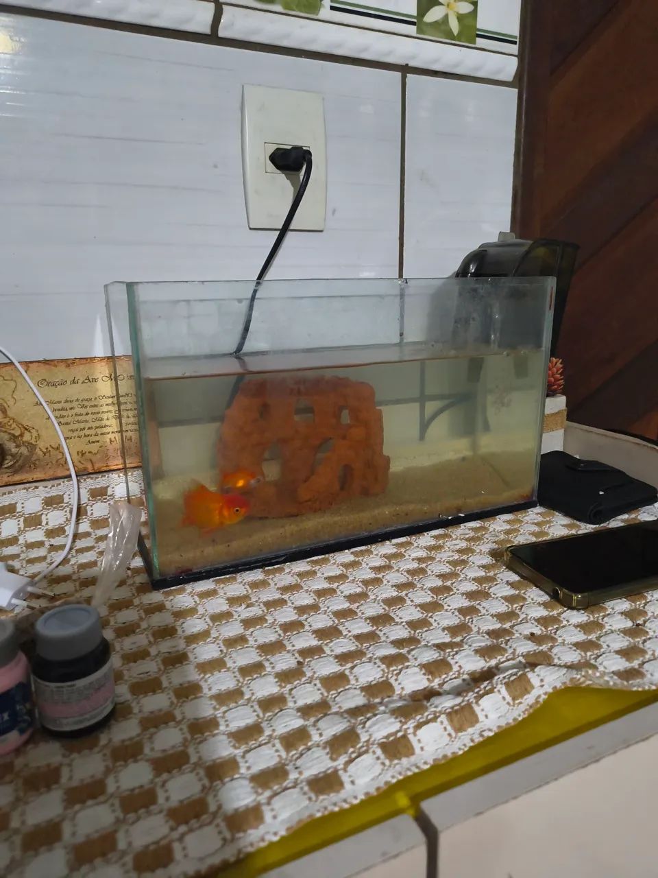 Aquário 9 litros somente aquário 
