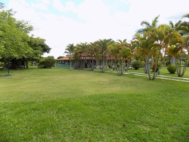 Chácara de 6.000 m², local perto da cidade (Nogueira imóveis) - Foto 11