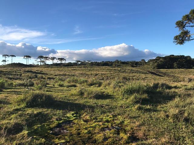 Terreno Urubici Chácara Urubici - Foto 4