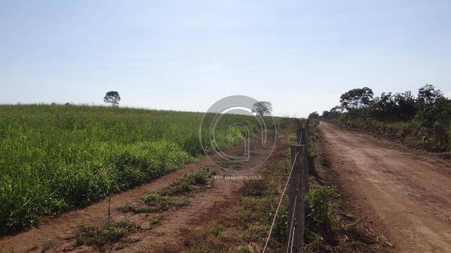 Fazenda à venda, 978 ha, região do manso - Foto 15