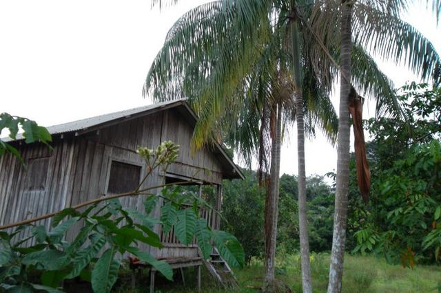 Fazenda de 1.330 hectares Vila Equador em Rorainópolis/RR, ler descrição do anuncio