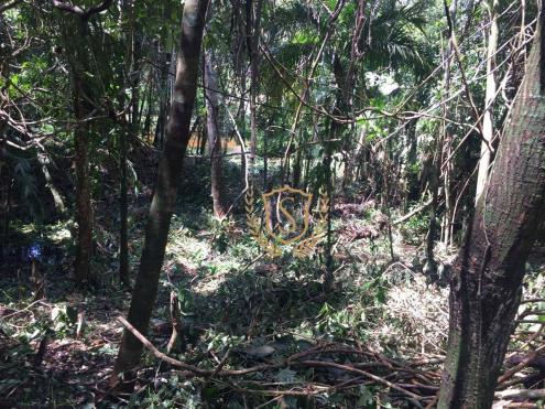 Terreno à venda, 653 m² por r$ 210.000,00 - comary - teresópolis/rj - Foto 10