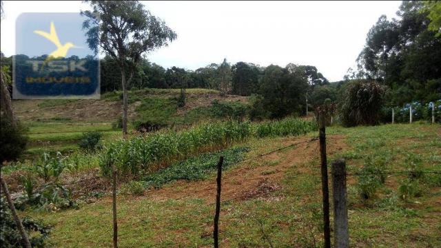 Chácara à venda, agudos do sul. ch0266 - Foto 3