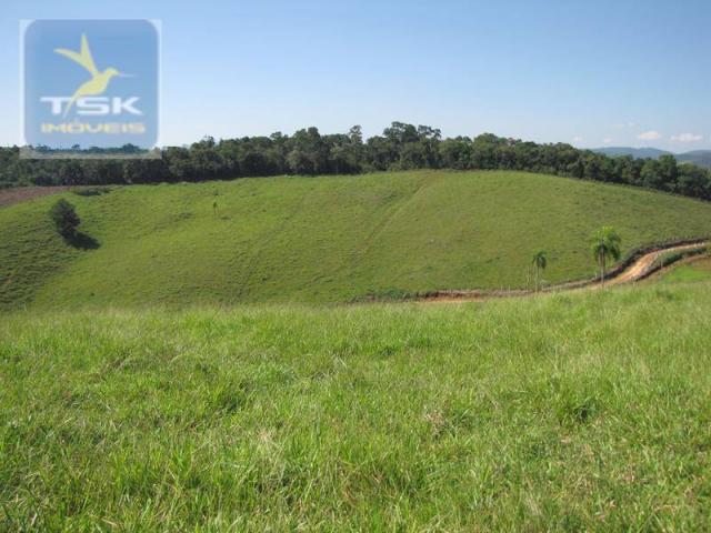 Ch0188 cerro azul chácara 12 alq. 57 km de curitiba/atuba - Foto 17