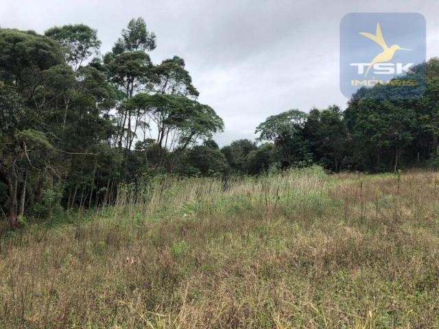 Chácara à venda, 6.957 m² por r$ 175.000 - barco - mandirituba/pr - Foto 13