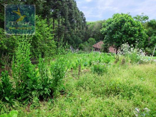 Chácara rural à venda, 4 pinheiros, mandirituba. - Foto 16