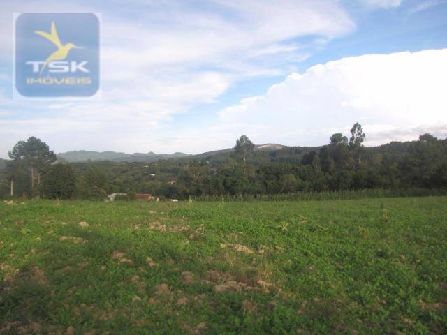 Te0023 agudos do sul - 6 lotes de 337,50 m² cada oportunidade perto da cidade - Foto 3