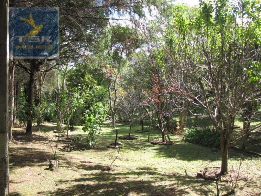 Ch0177 - chácara agudos do sul 7.500 m² sobrado triplex uma nascente impressionante - Foto 20