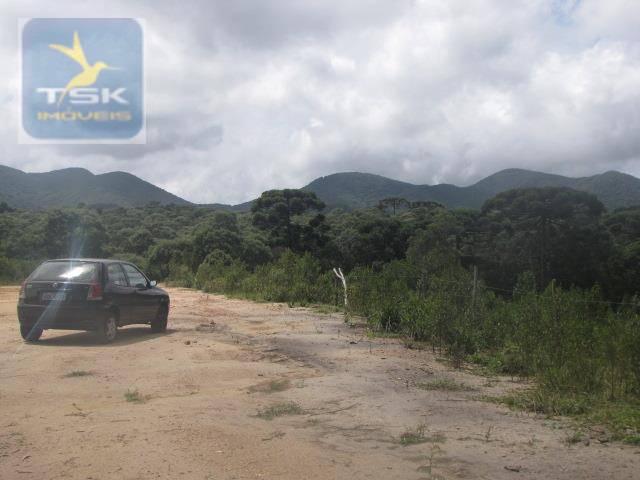 Piraquara chácara 64.471,25 m² planta deodoro infinitas possibilidades dentro da cidade ch - Foto 5