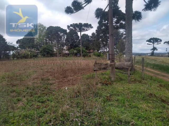 Ch0303 chácara/área industrial mandirituba 15.000 m² aceita chácara menor na troca perto d