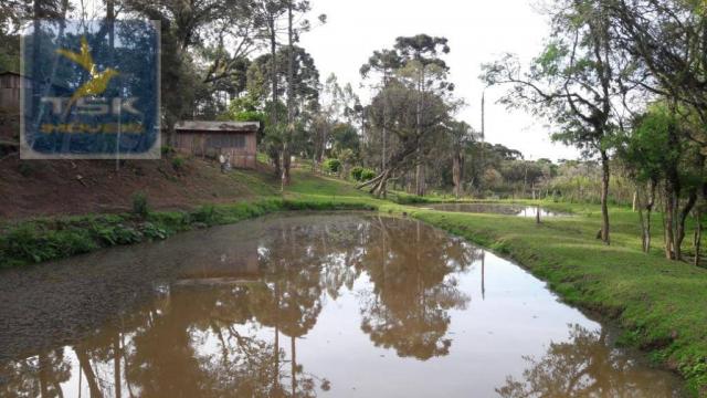 Ch0311 - mandirituba - chácara 10.000 m² com casa antes do pedágio