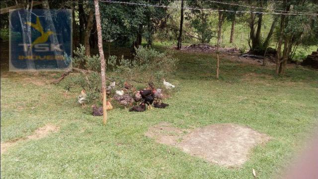 Chácara à venda, agudos do sul. ch0266 - Foto 12