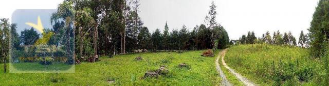 Ch0223 - chácara com 2 dormitórios à venda, 10935 m² por r$ 337.000 - zona rural - agudos - Foto 10
