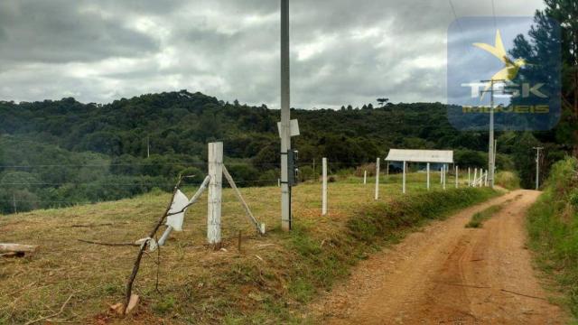 Ch0358 mandirituba 5.000 m², antes do pedágio, luz e riacho, cercada - Foto 9