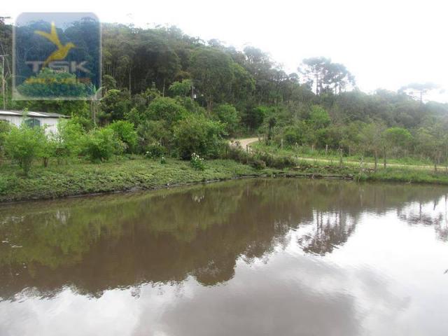 São josé dos pinhais chácara 15.000 m² aqui eu vou ficar ch0159 - Foto 20