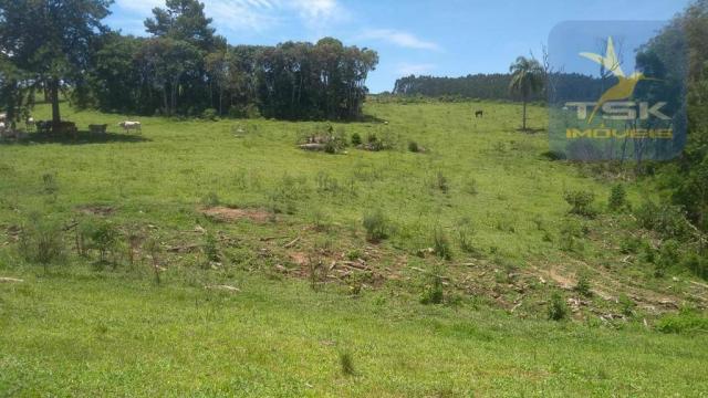 Fa0009 fazenda à venda, 605000 m² por r$ 3.150.000 - zona rural - quitandinha/pr - Foto 18
