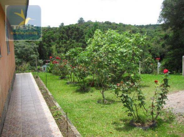 Quatro barras área industrial - 96.000 m² localização estratégica ar0021 - Foto 3